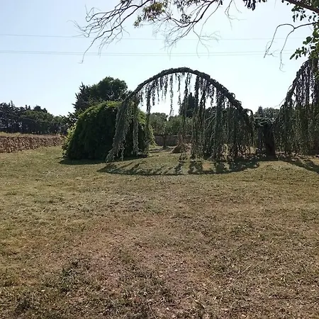 Ancien Moulin Restaurer Avec Piscine * Roquemaure (Gard)